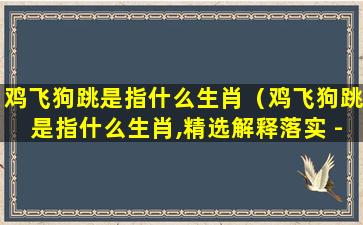 鸡飞狗跳是指什么生肖（鸡飞狗跳是指什么生肖,精选解释落实 - 大象信息）